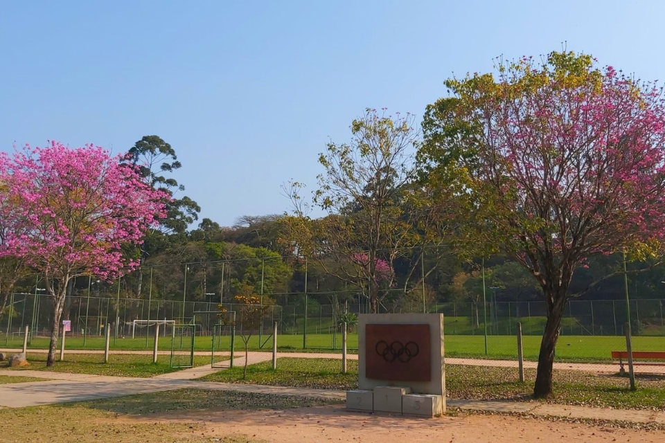 locais de treinos presenciais poa (8)